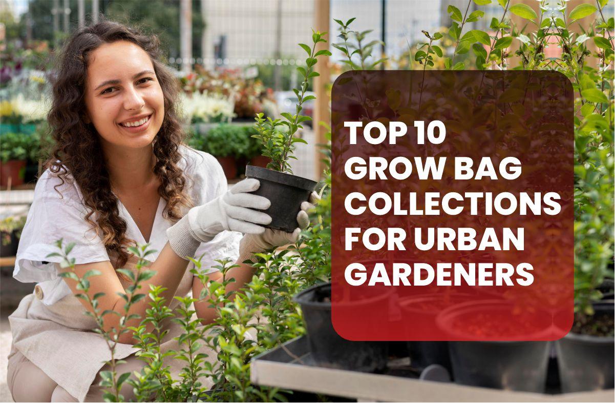 Top 10 Grow Bag Collections for Urban Gardeners