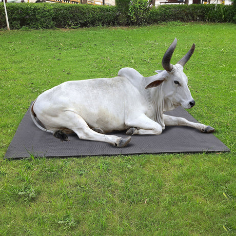Cow Mat - Singhal Mart