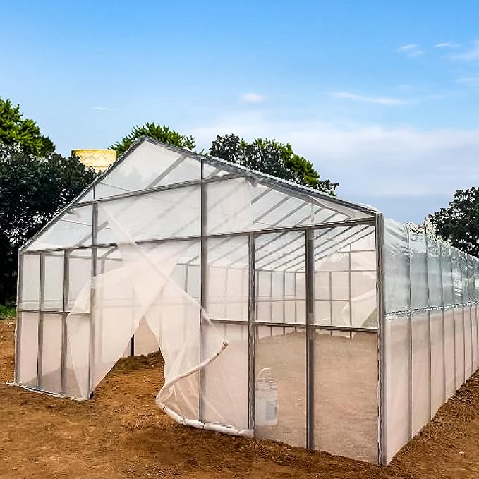 Singhal Greenhouse Poly House Sheet, 200 GSM Transparent Plastic, UV Treated, Dust-Proof, Waterproof, Heavy Duty for Greenhouse Protection