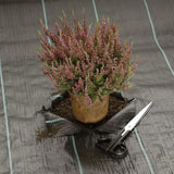Garden Weed Control Barrier Sheet Mat Landscape