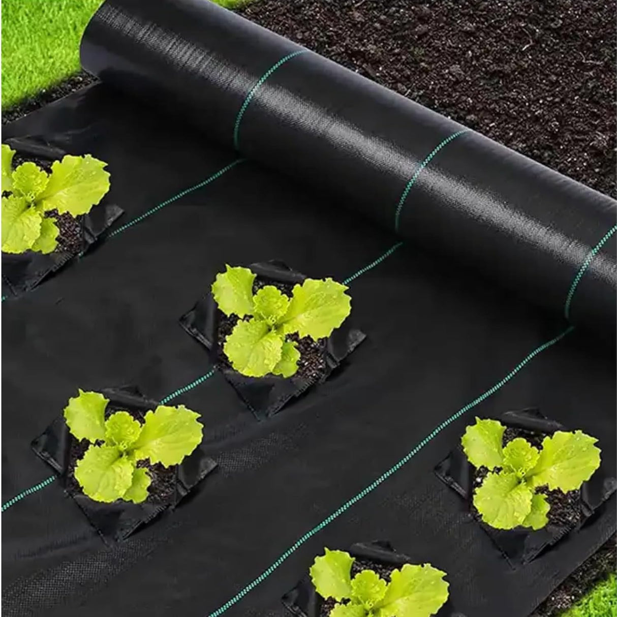 Garden Weed Control Barrier Sheet Mat Landscape