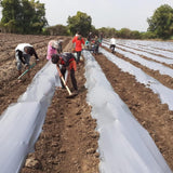 Singhal Mulching Film 400 Meter Roll