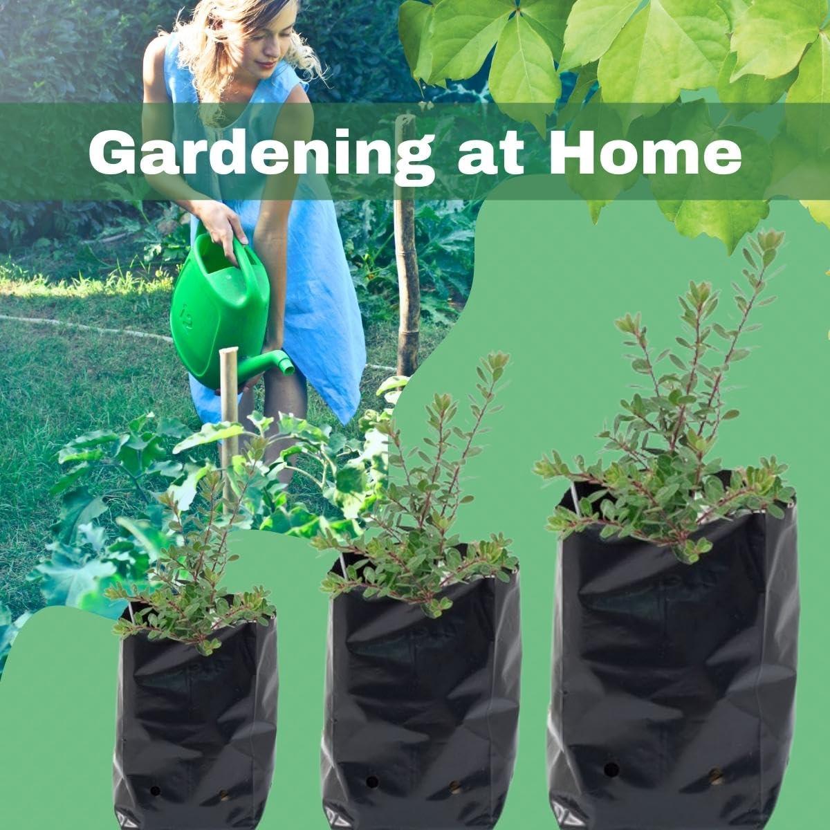 9x10 HDPE UV-resistant black grow bags, pack of 100. Durable polyethylene for home gardens, nurseries, and terrace gardening. Perfect for plants. - Singhal Mart
