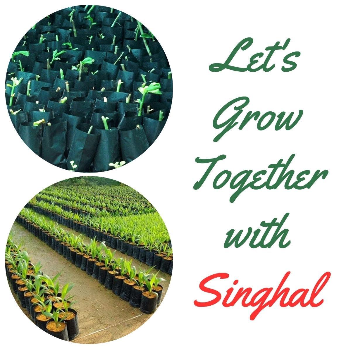 9x10 HDPE UV-resistant black grow bags, pack of 20. Durable polyethylene bags for home gardens, nurseries, and terrace gardening. Perfect for plants. - Singhal Mart
