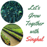 9x10 HDPE UV-resistant black grow bags, pack of 20. Durable polyethylene bags for home gardens, nurseries, and terrace gardening. Perfect for plants. - Singhal Mart