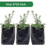 9x10 HDPE UV-resistant black grow bags, pack of 20. Durable polyethylene bags for home gardens, nurseries, and terrace gardening. Perfect for plants. - Singhal Mart
