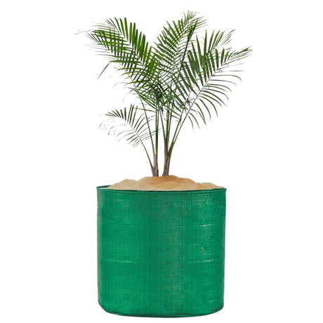 9x12 HDPE UV-protected round grow bags, pack of 20. Green color, perfect for terrace and vegetable gardening. Durable bags for healthy plant growth. - Singhal Mart