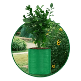 HDPE UV Protected Round Plants Grow Bags, Green Color Ideal for Terrace and Vegetable Gardening - Singhal Mart