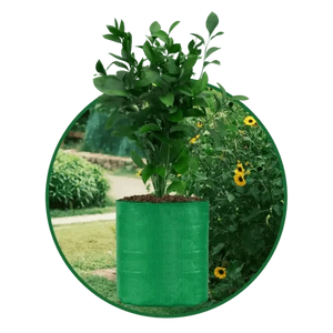Green Grow Bag