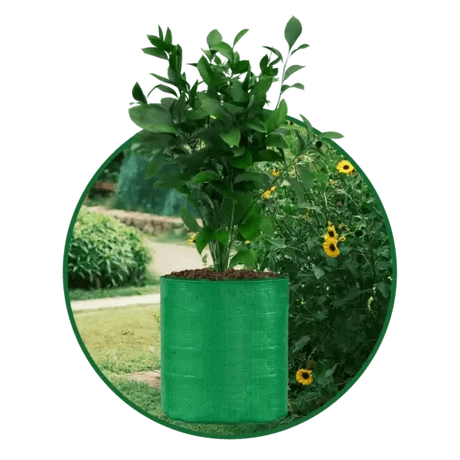 HDPE UV Protected Round Plants Grow Bags, Green Color Ideal for Terrace and Vegetable Gardening - Singhal Mart