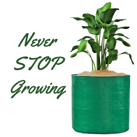 Pack of 5 15x18 Inch HDPE UV-Protected Round Grow Bags – Green Color for Terrace and Vegetable Gardening - Singhal Mart