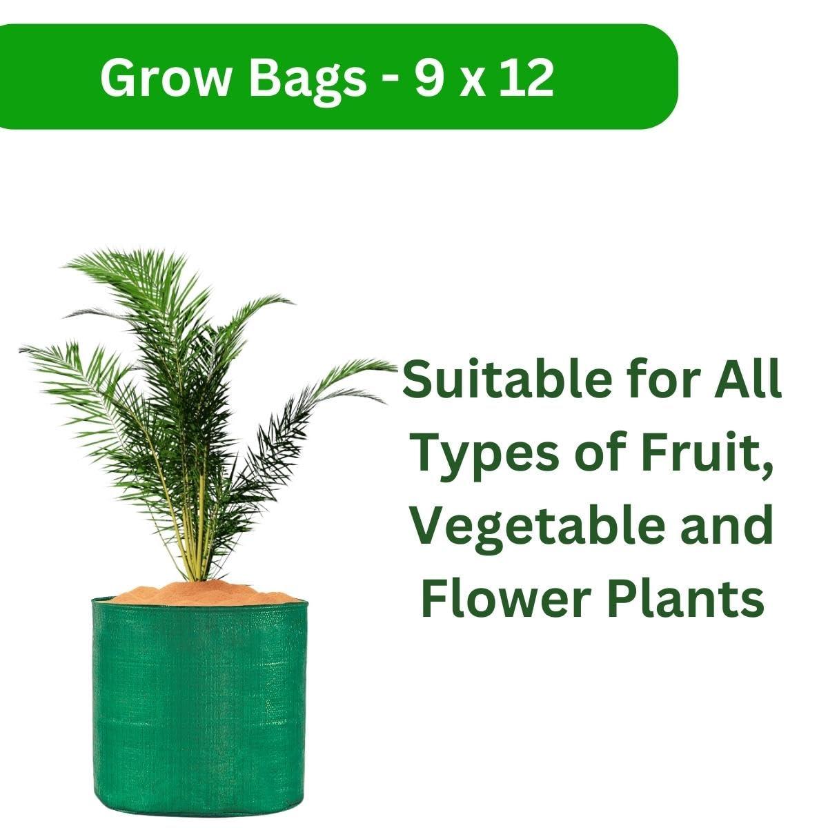 Pack of 5 Green 9x12" HDPE UV-Resistant Round Plant Grow Bags by Singhal – Ideal for Terrace & Vegetable Gardening - Singhal Mart