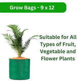 Pack of 5 Green 9x12" HDPE UV-Resistant Round Plant Grow Bags by Singhal – Ideal for Terrace & Vegetable Gardening - Singhal Mart