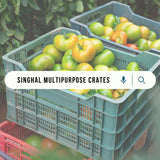 Plastic Crate Blue Portable Size 540 x 360 x 290 MM - Singhal Mart