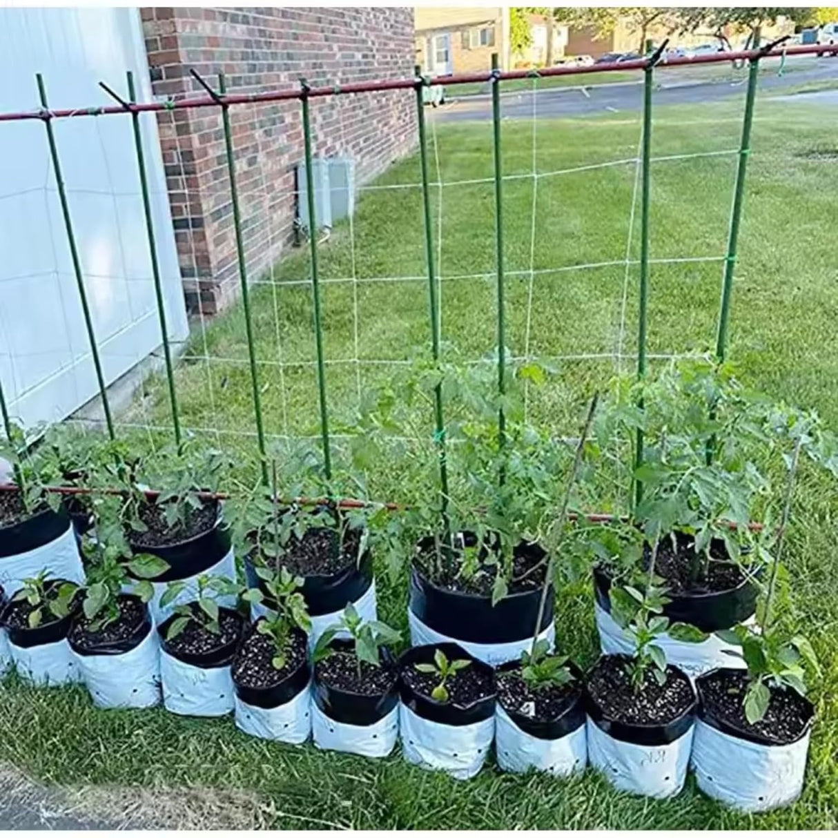 Poly Grow Bags - 10 pcs, 24x24x40 cm, White Outside, Black Inside. Perfect for growing vegetables and flowering plants. Durable and effective - Singhal Mart