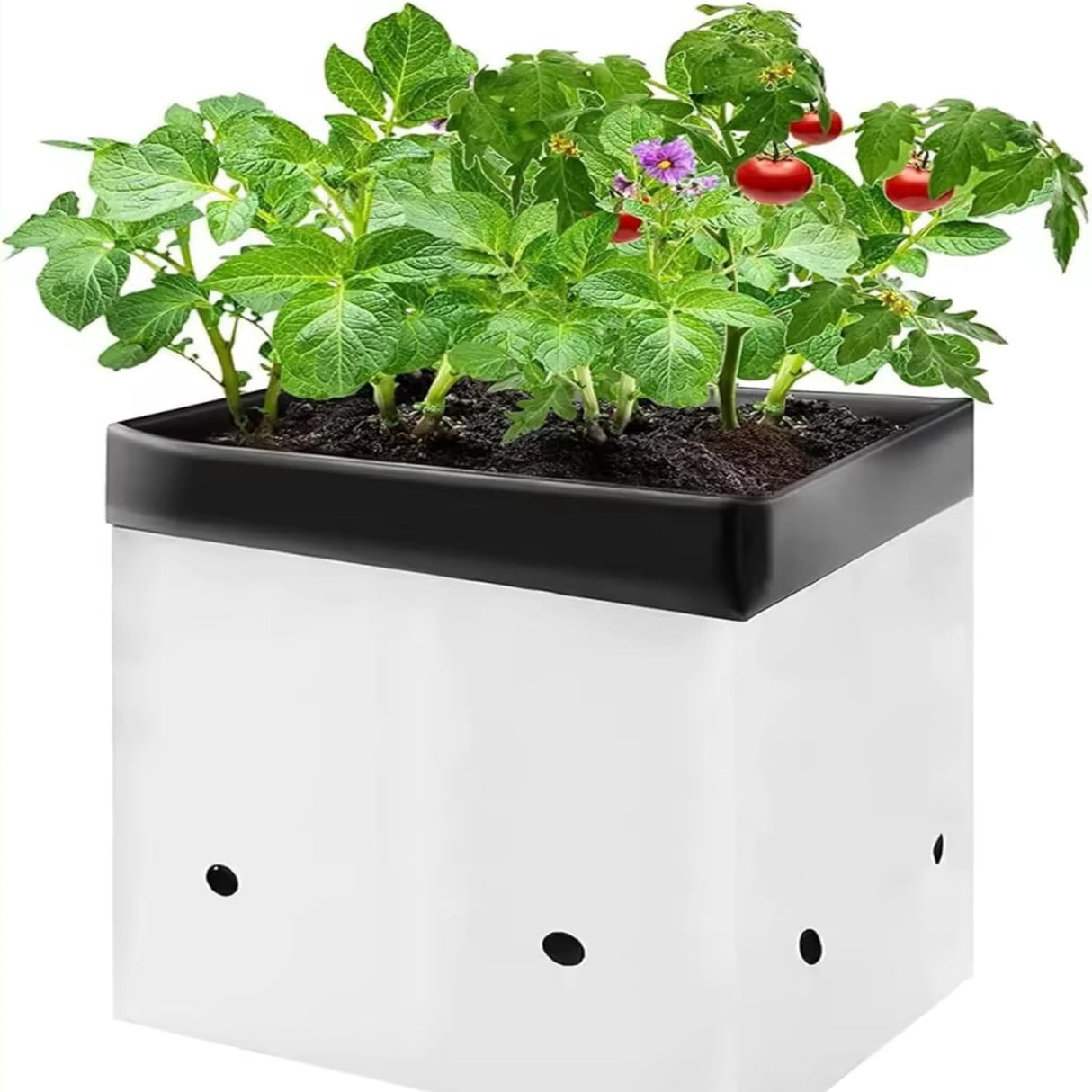Poly Grow Bags - 10 pcs, 24x24x40 cm, White Outside, Black Inside. Perfect for growing vegetables and flowering plants. Durable and effective - Singhal Mart