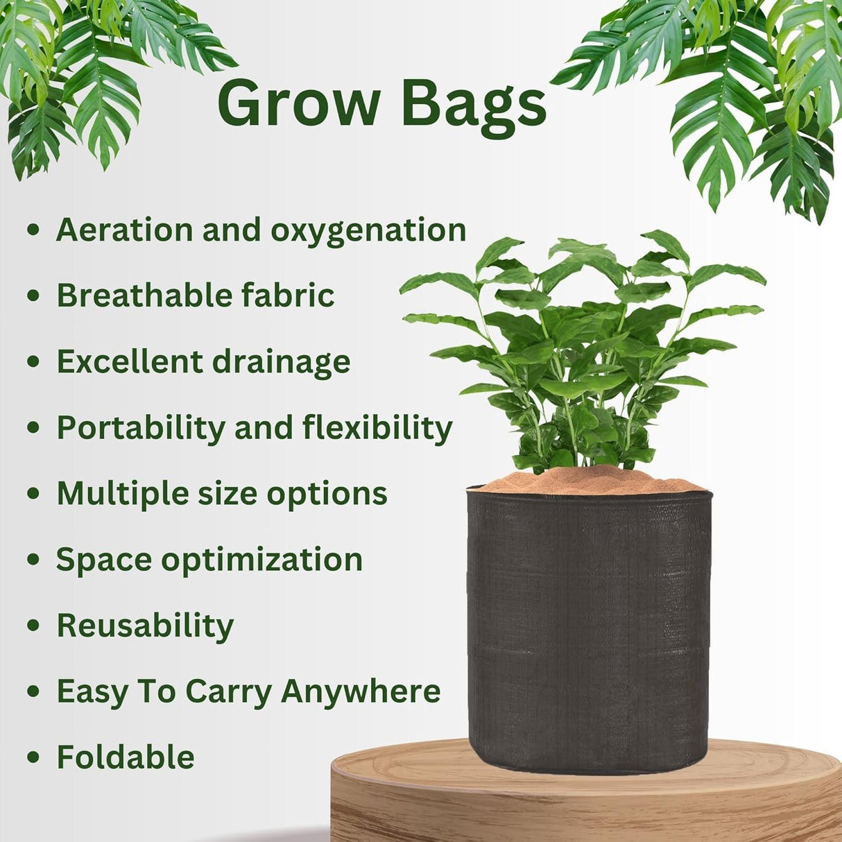 SINGHAL HDPE UV-Resistant Round Grow Bags 24x24 Inch, Black, Pack of 10 – Ideal for Terrace & Veggie Gardens - Singhal Mart