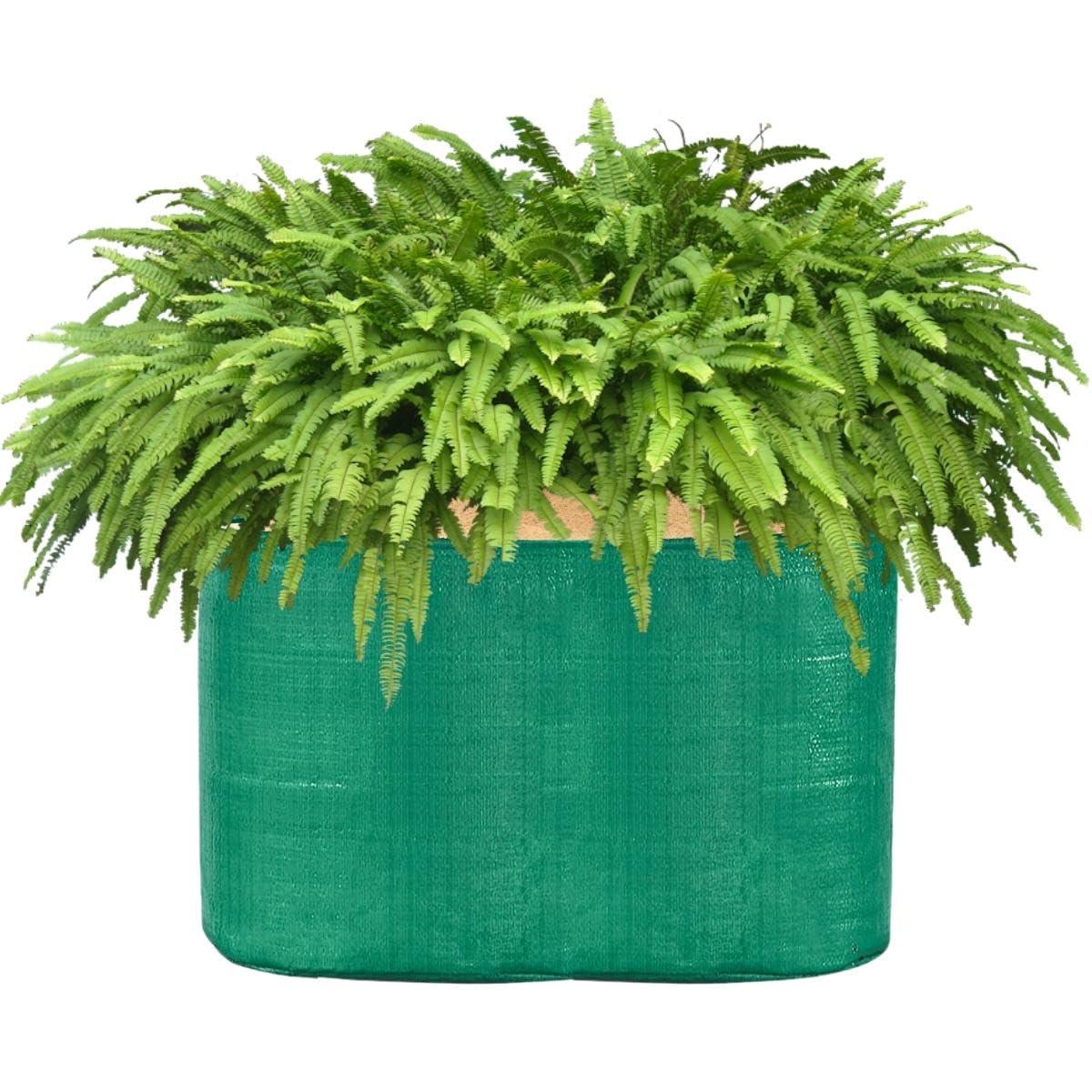 SINGHAL HDPE UV Protected Green Grow Bags Combo, 12x12" & 24x9" | 1 Bag Each | Pack of 2 - Singhal Mart