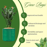 SINGHAL HDPE UV Protected Green Grow Bags Combo, 12x12" & 24x9" | 1 Bag Each | Pack of 2 - Singhal Mart