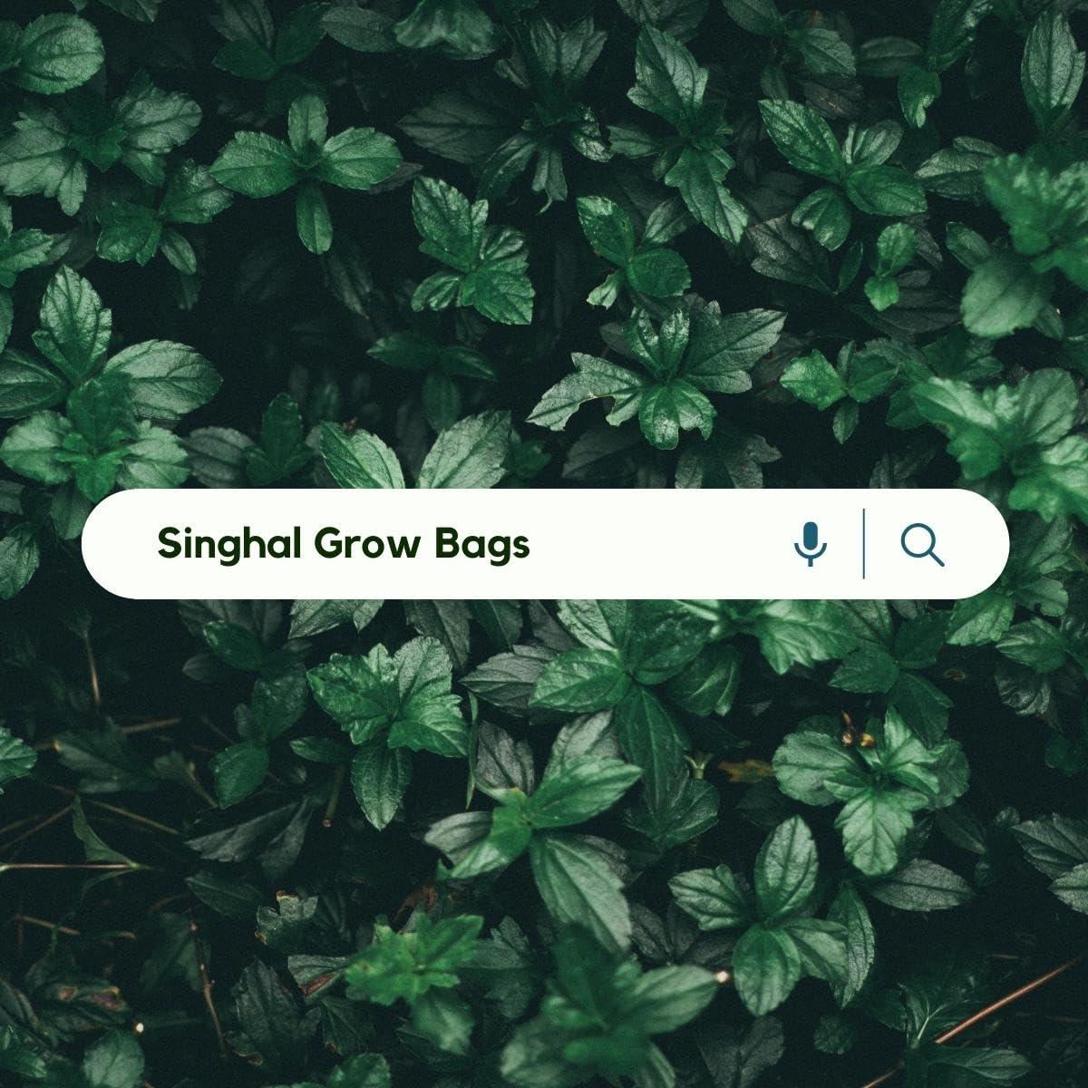 SINGHAL HDPE UV Protected Green Grow Bags Combo, 12x12" & 24x9" | 1 Bag Each | Pack of 2 - Singhal Mart