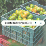SINGHAL Heavy Duty Big Blue Portable Plastic Crate 54x36x29 CM | Versatile Storage Crate | Large Bin for Vegetables, Fruit, Milk & More - Singhal Mart