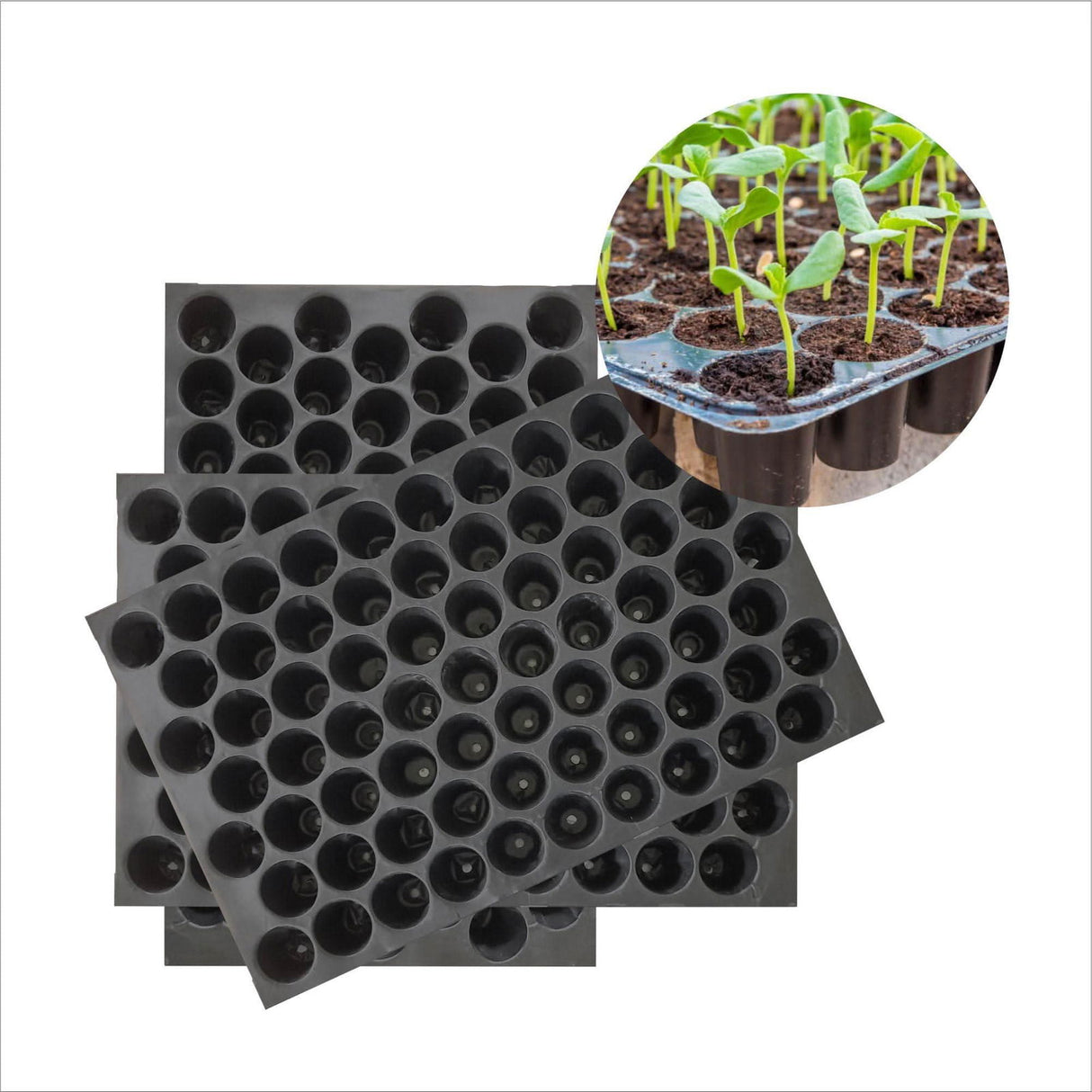 Seedling Tray for Cultivate Seeds-98 holes per Tray - Singhal Mart