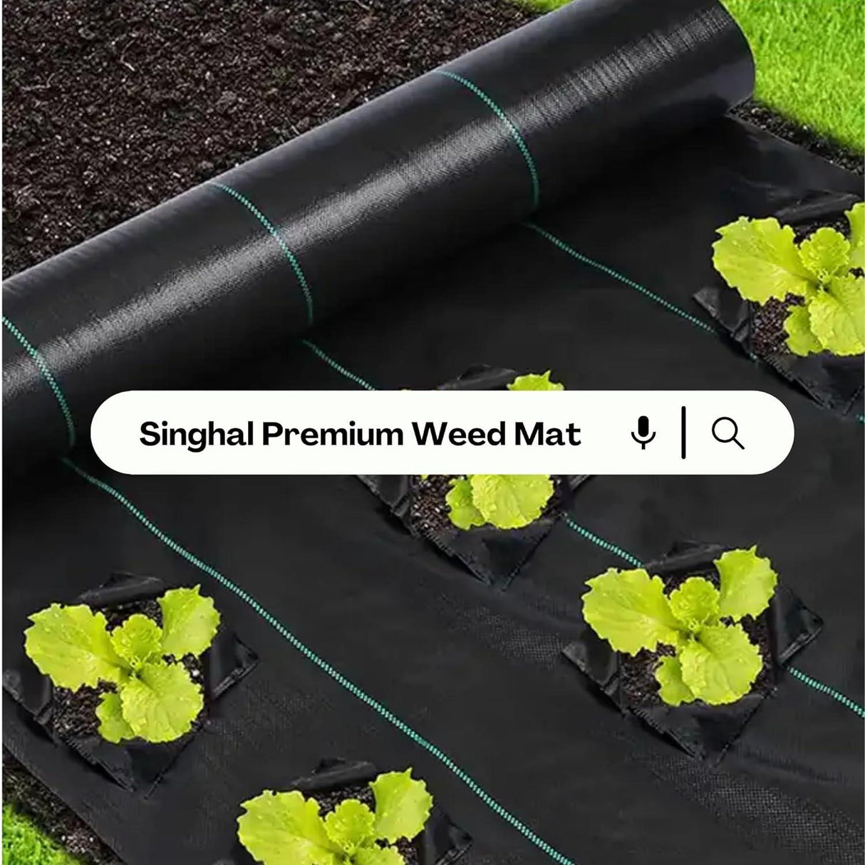 Singhal Garden Heavy Duty Weed Control Mat 1 x 60 Meter, 125 GSM Black Landscape Fabric, Eco-Friendly Weed Block for Bed Gardening - Singhal Mart
