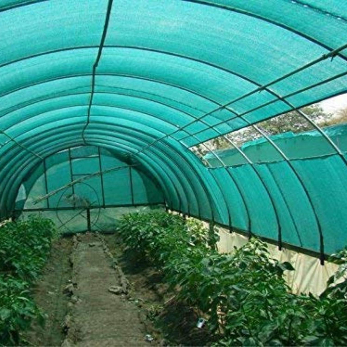 Singhal HDPE Shade Net - 90% UV Protection, 10x25 Ft for Agro, Greenhouse, Garden, Parking, Balcony, Home, Lawn, Nursery, and Sports Shading - Singhal Mart
