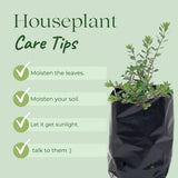 Singhal HDPE UV-Resistant Black Polypropylene Grow Bags, 9x10 inches, Combo Pack of 10 – Ideal for Home, Nursery, and Terrace Gardening. - Singhal Mart